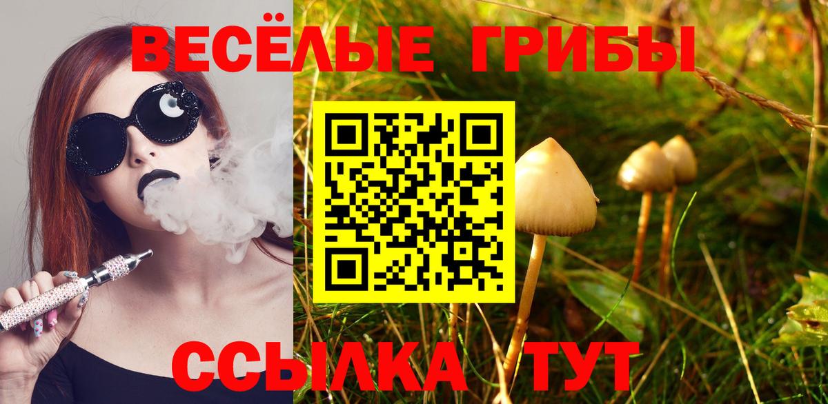 Галлюциногенные грибы прущие грибы Солнечногорск