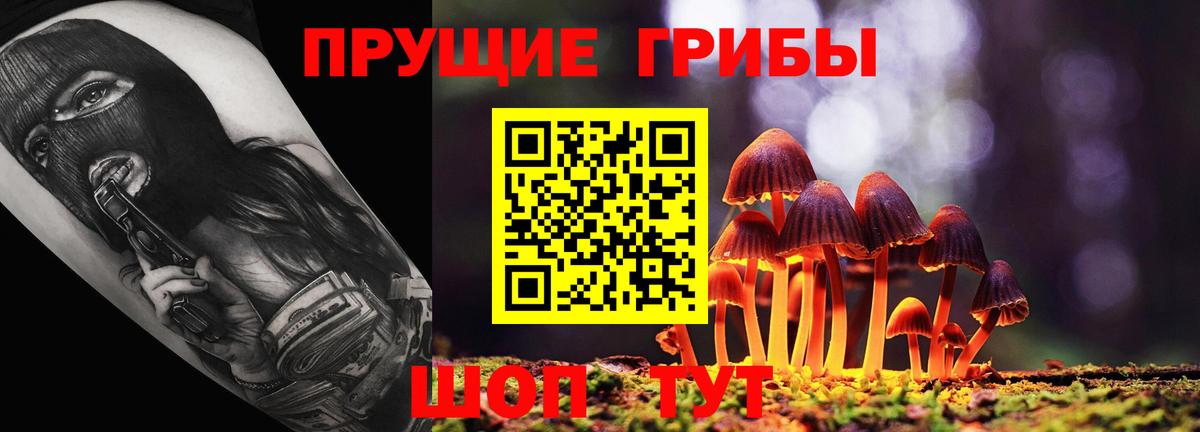 Солнечногорск  Галлюциногенные грибы прущие грибы  Вход с VPN 